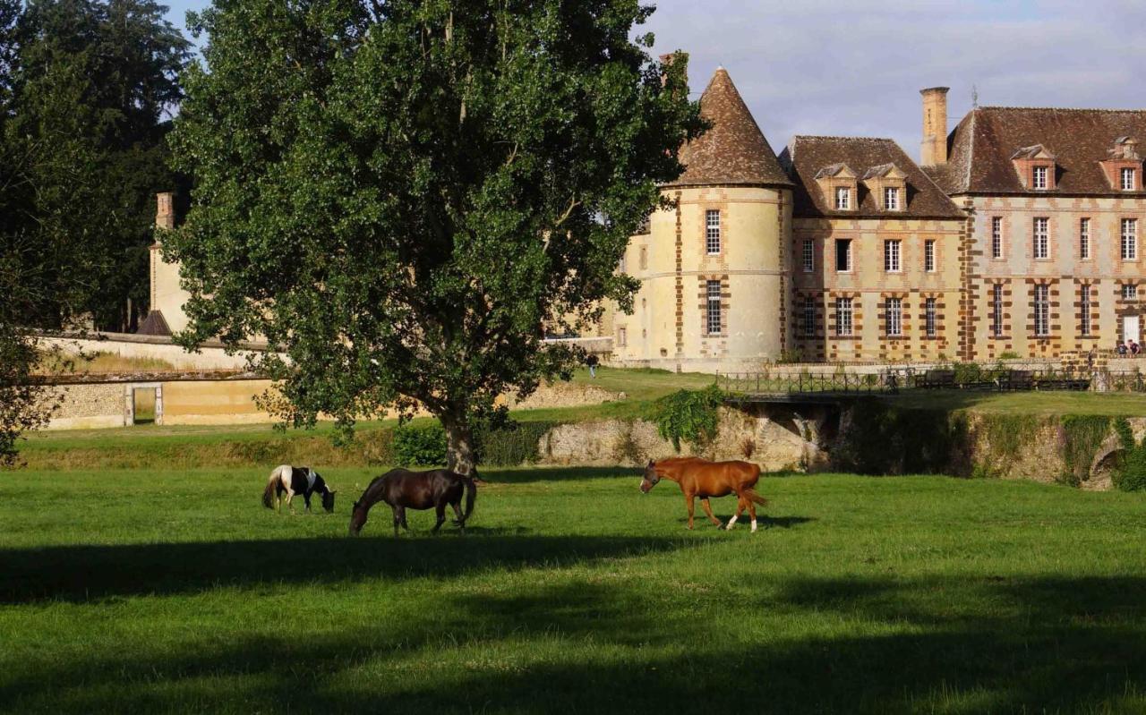 Pontgouin Chateau De La Riviere B&B 외부 사진